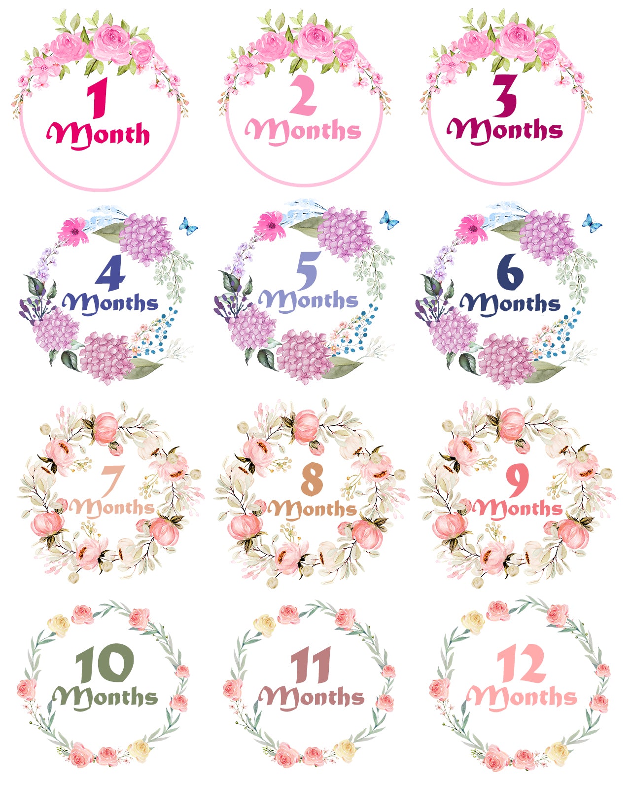 Floral Monthly Milestone Bodysuit