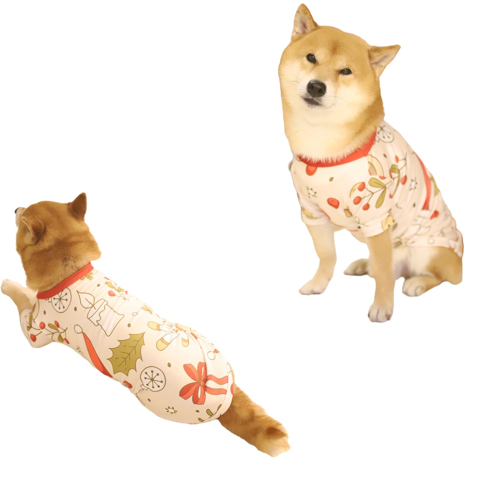 Cute Cartoon Pattern Print Family Matching Pajamas Set With Dog